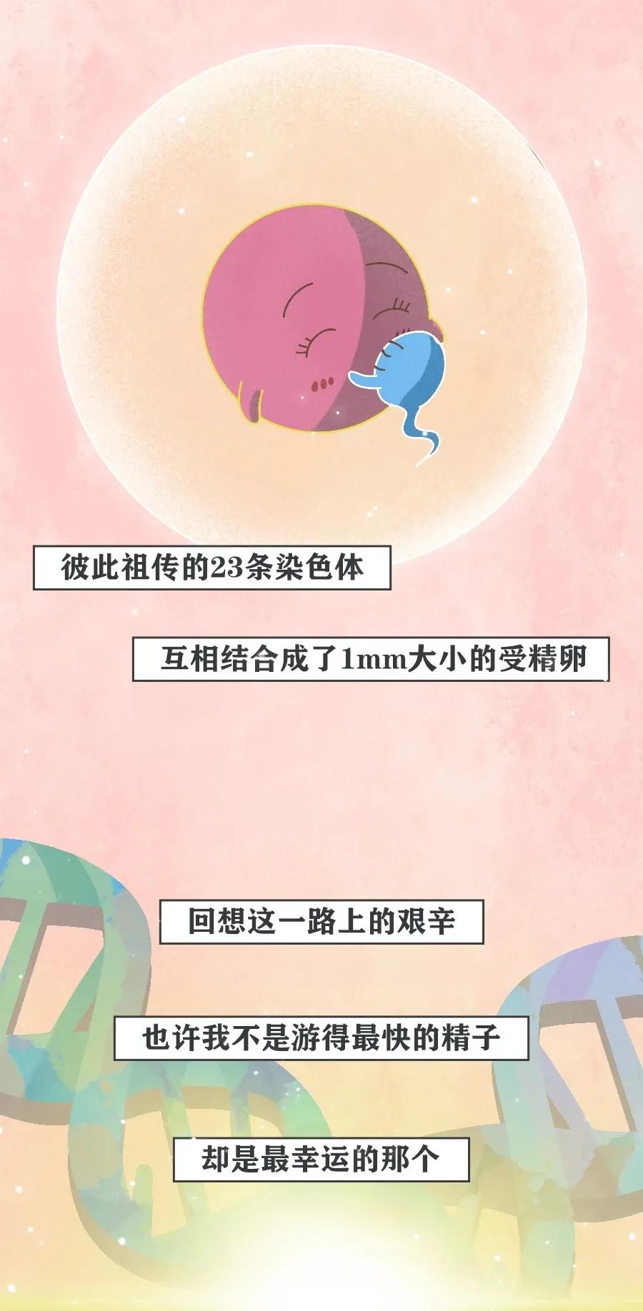 当精子进入女生体内后，会发生什么变化？不要羞于了解！
