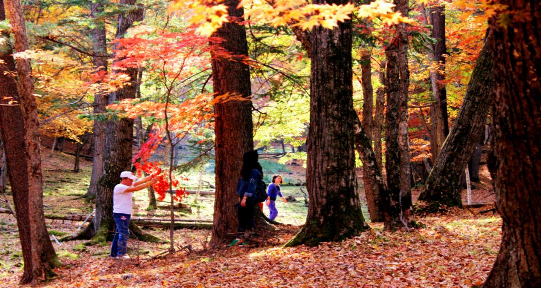 全国三大研学示范营地,三所基地