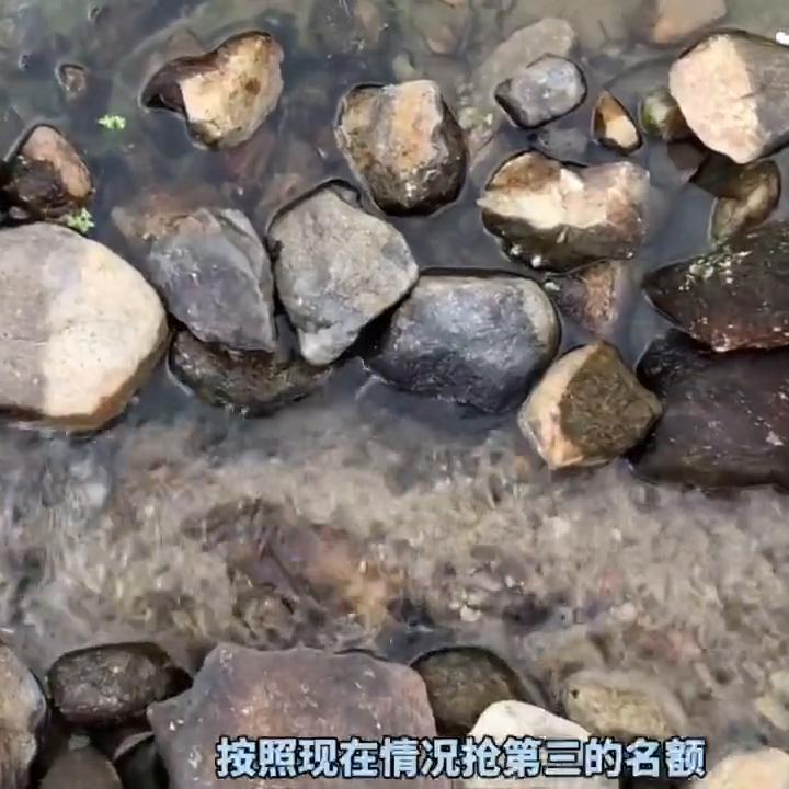 瓶盖漂流大赛逃跑,瓶盖漂流瓶比赛原视频