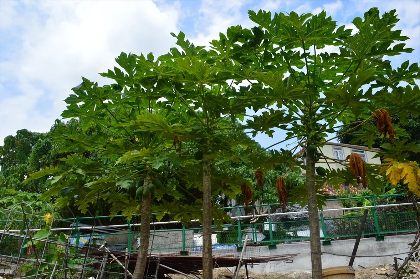 爱上一座城瑜伽版,爱上一座城市完整版电影