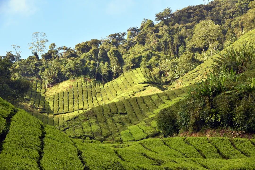 马来西亚，绝美景色、魅力人文