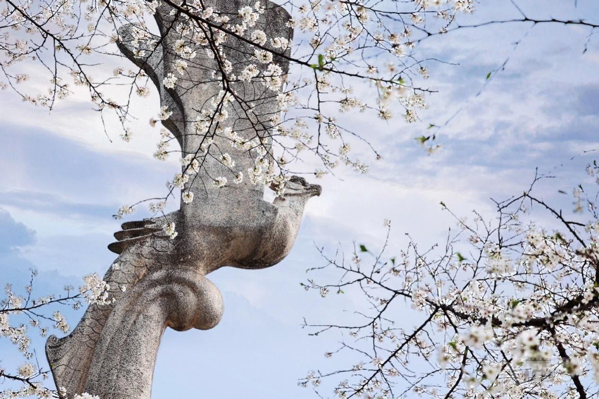 湖北“超美”大学：占地5195亩，宿舍6部电梯，坐拥26栋*物文**建筑和1000株樱花！