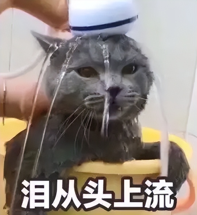 二阳来了准备些什么药,二阳吃什么药好得快