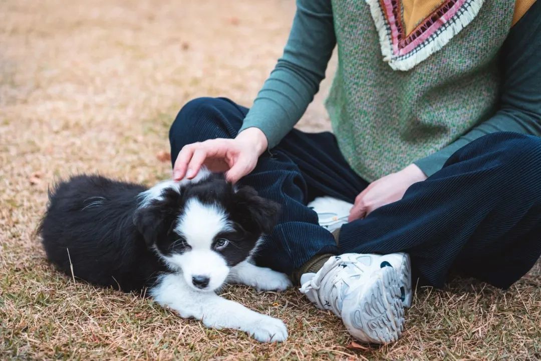 可怕的真相：真正自杀的人，大多数之前完全没想过自杀