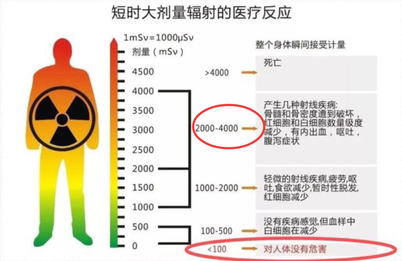 埃本拜尔斯为什么会反反复复发烧,埃本拜尔斯喝了几年