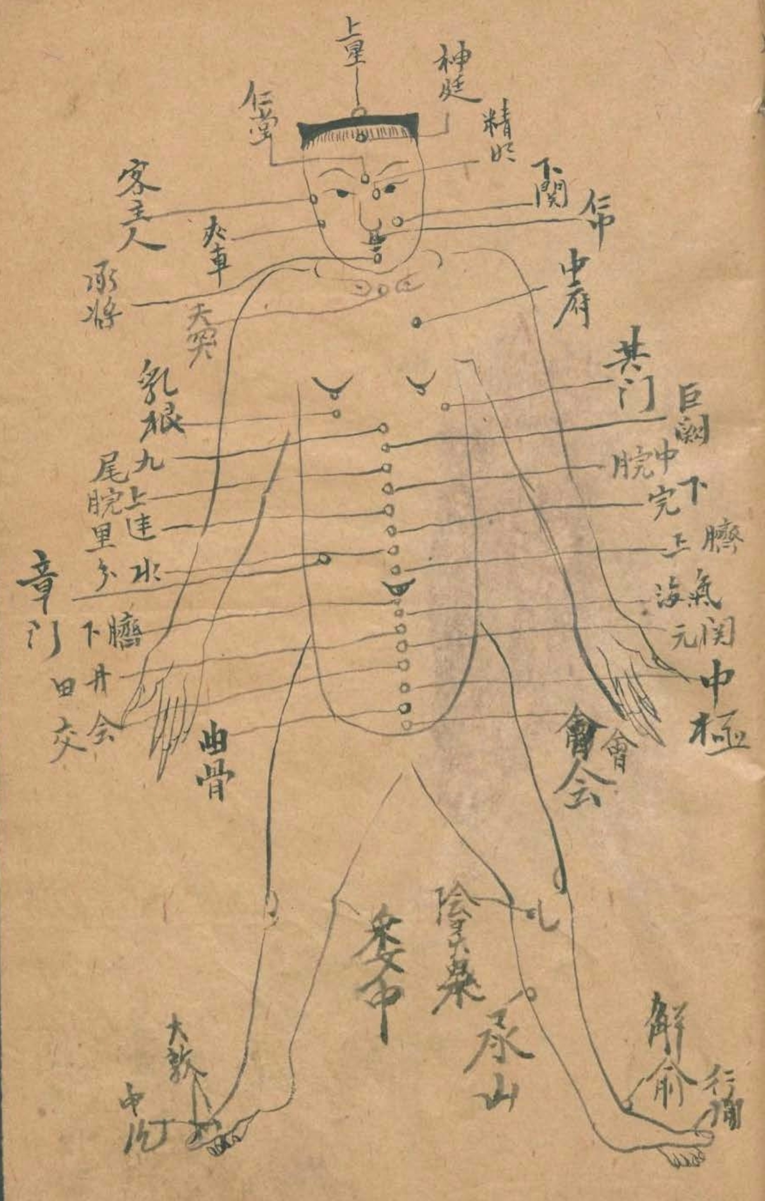 放痧疗法视频,放痧的最佳方法