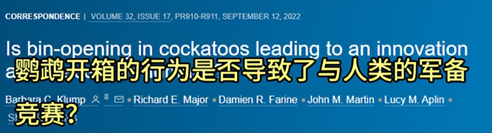 人鸟大战不断升级，想阻止鹦鹉乱翻垃圾桶太难了