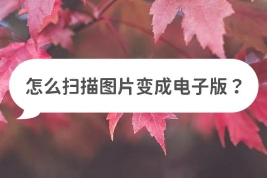 苹果手机扫描图片成电子版软件,手机免费扫描图片变成电子版