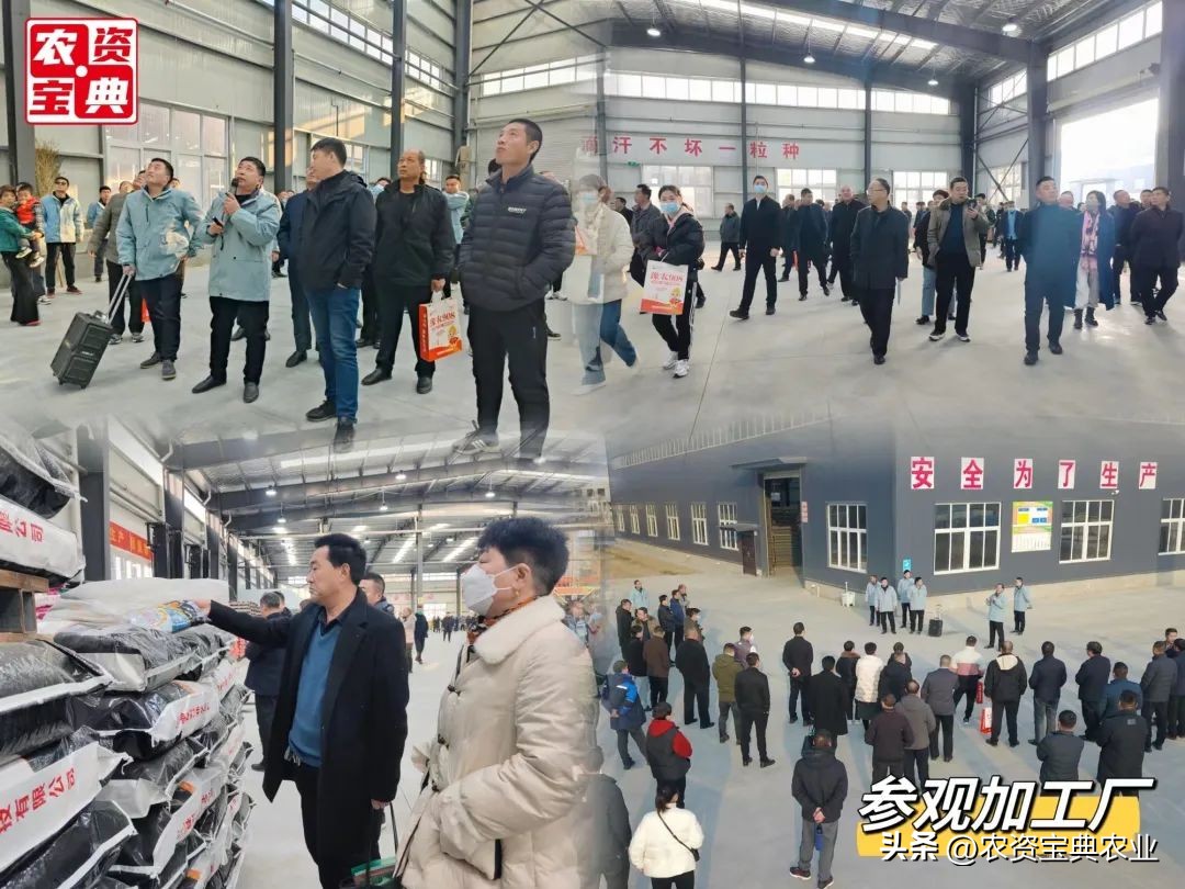 铸牢粮食安全新基石,筑牢粮食安全基石