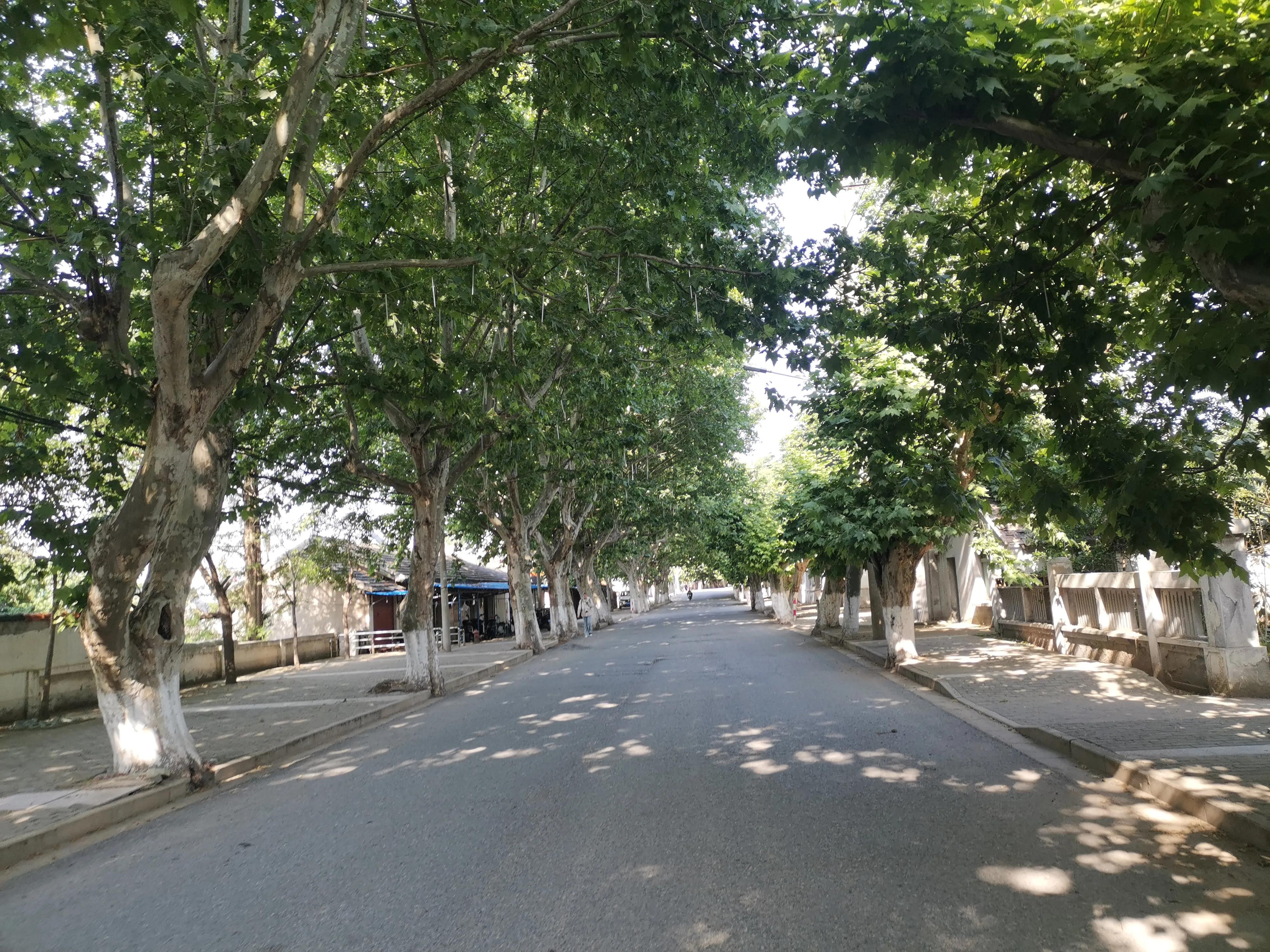 冶山矿时光凝固，冶山镇半身僵直—*合六**、天长冶山镇乱走（中）