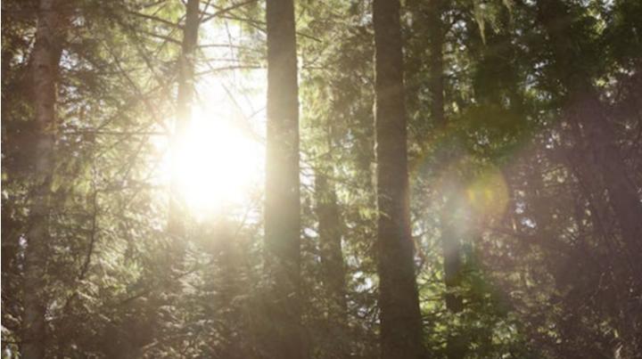 怎么高情商说人很烦,当别人说我很烦怎么高情商回答