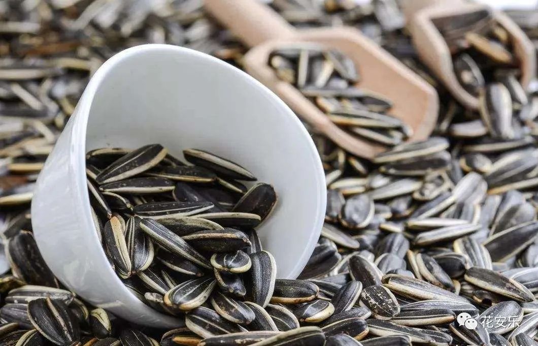 瓜子的油含量较高等于喝油吗,嗑一斤瓜子相当于喝了多少油