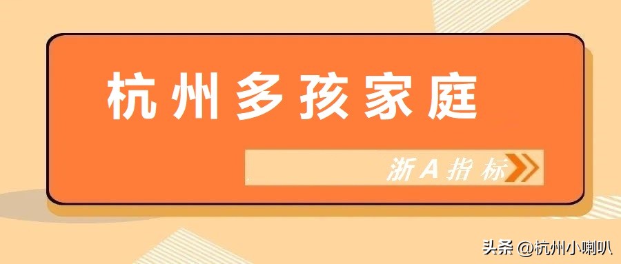 不摇号可以直接上牌的车型,不摇号可以在杭州买燃油车吗