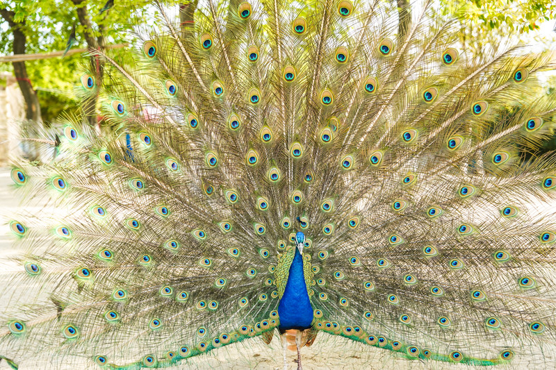 宿州两日游,安徽宿州一日游推荐