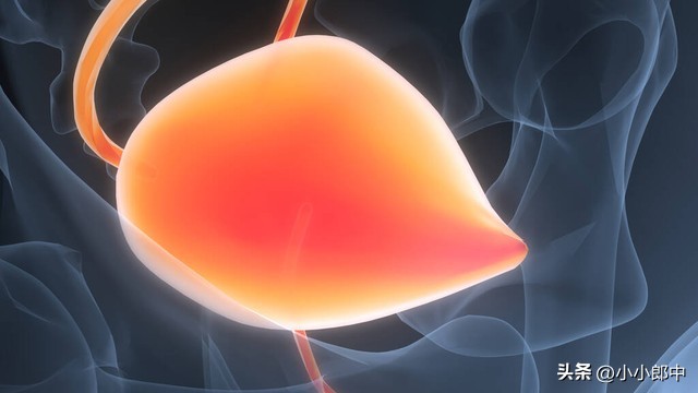 倪海厦讲膀胱经头痛,背部足太阳膀胱经