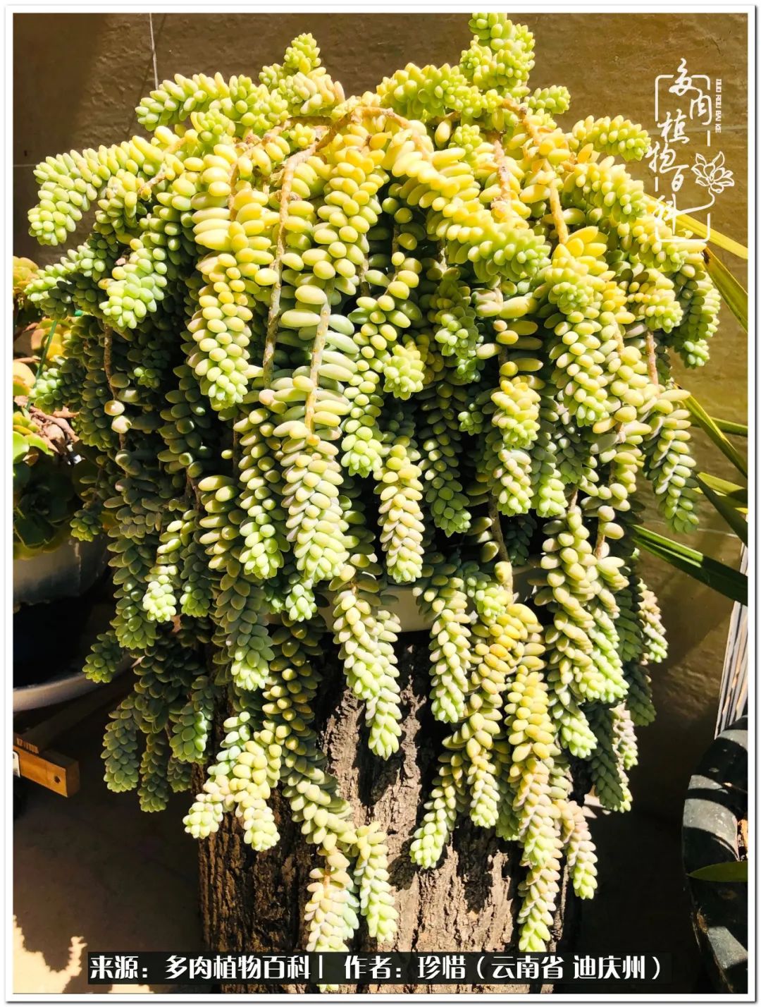 给生命一份淡然还岁月一份从容,给生命留一份洒脱的话