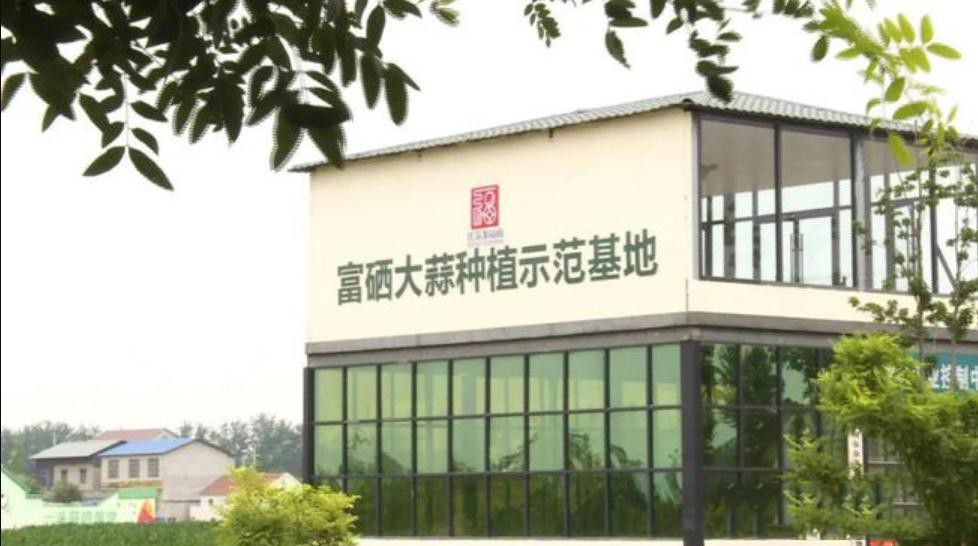 哪里的大蒜最好吃排行,哪种蒜最好吃