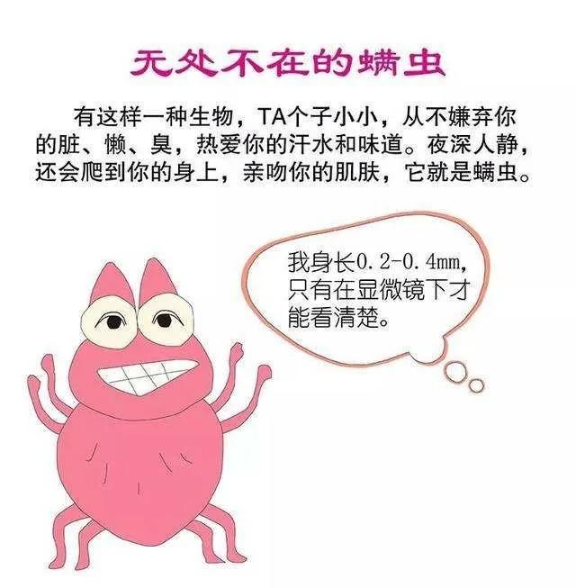 被毒虫咬后需谨慎,被毒虫咬后的有效处理