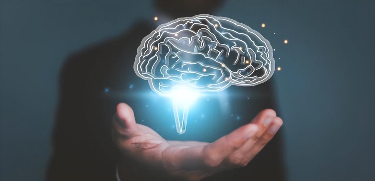 ai人脑工程龙头股浙大网新,ai人工智能龙头第二三梯队