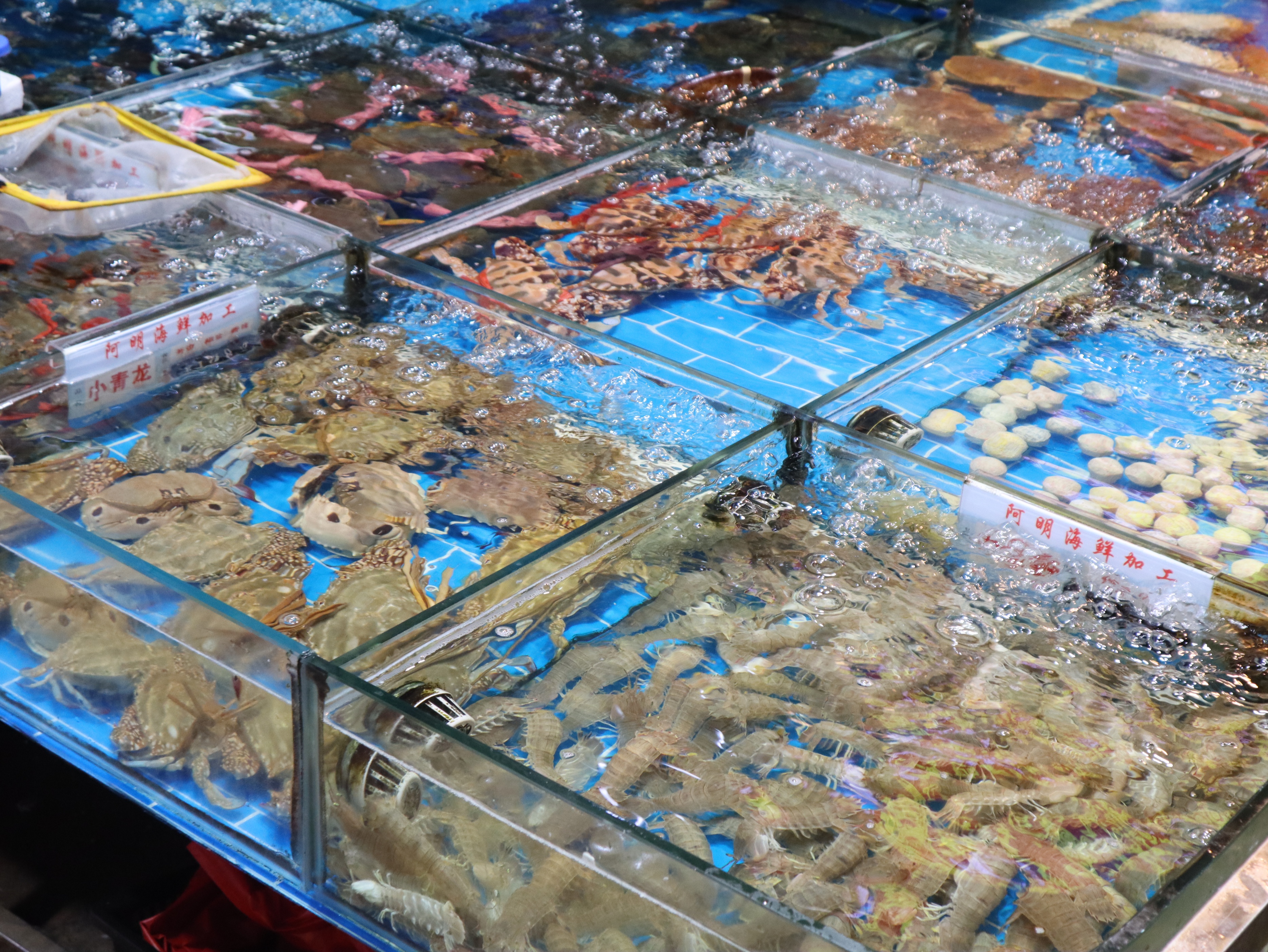 来厦门八市阿明海鲜，吃到糖醋话梅鱼、养殖巴浪鱼，新鲜又实在！