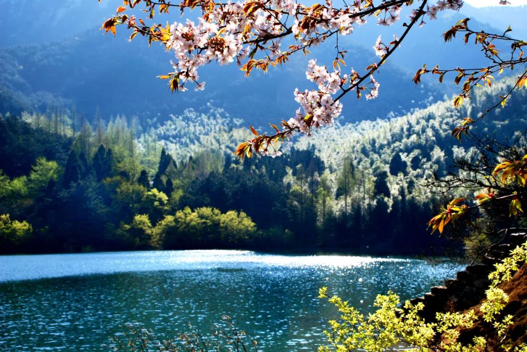 暑假信阳免费景区推荐,信阳新县自驾游免费景区攻略