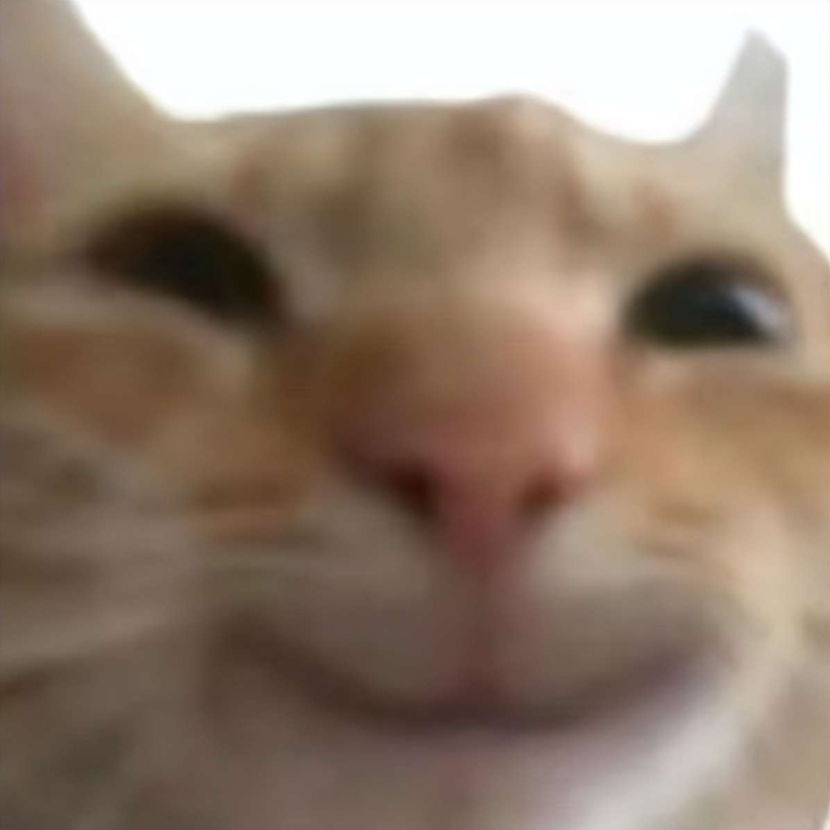 网易云音乐有什么听不了的,网易云音乐不能听到声音