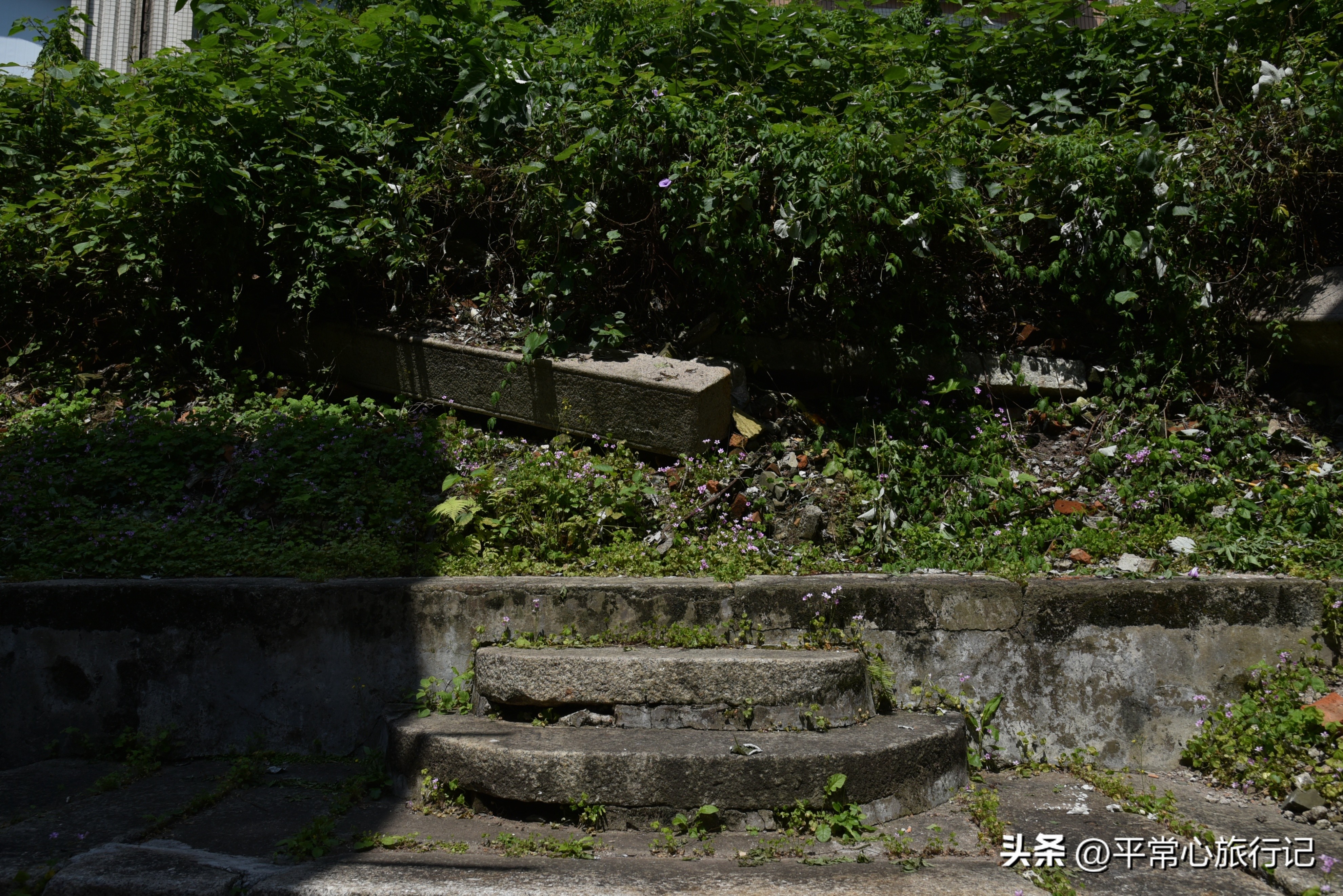 狂飙江门取景地打卡旧厂街,江门三十三墟街景点介绍