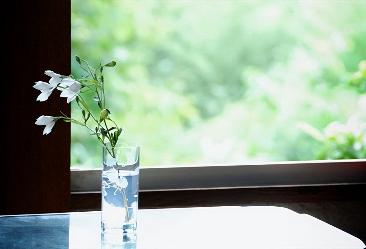 瀹呭瑙傚奖鎸囧崡鐢靛奖鎺ㄨ崘,瀹呭瑙傚奖鎸囧崡闈掓槬鍔卞織鐢靛奖鎺ㄨ崘