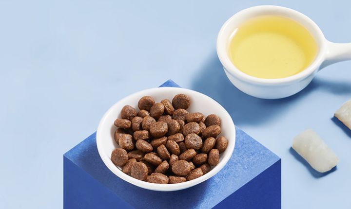 海洋之星好还是皇家狗粮好,海洋之星哪一款狗粮适合泰迪