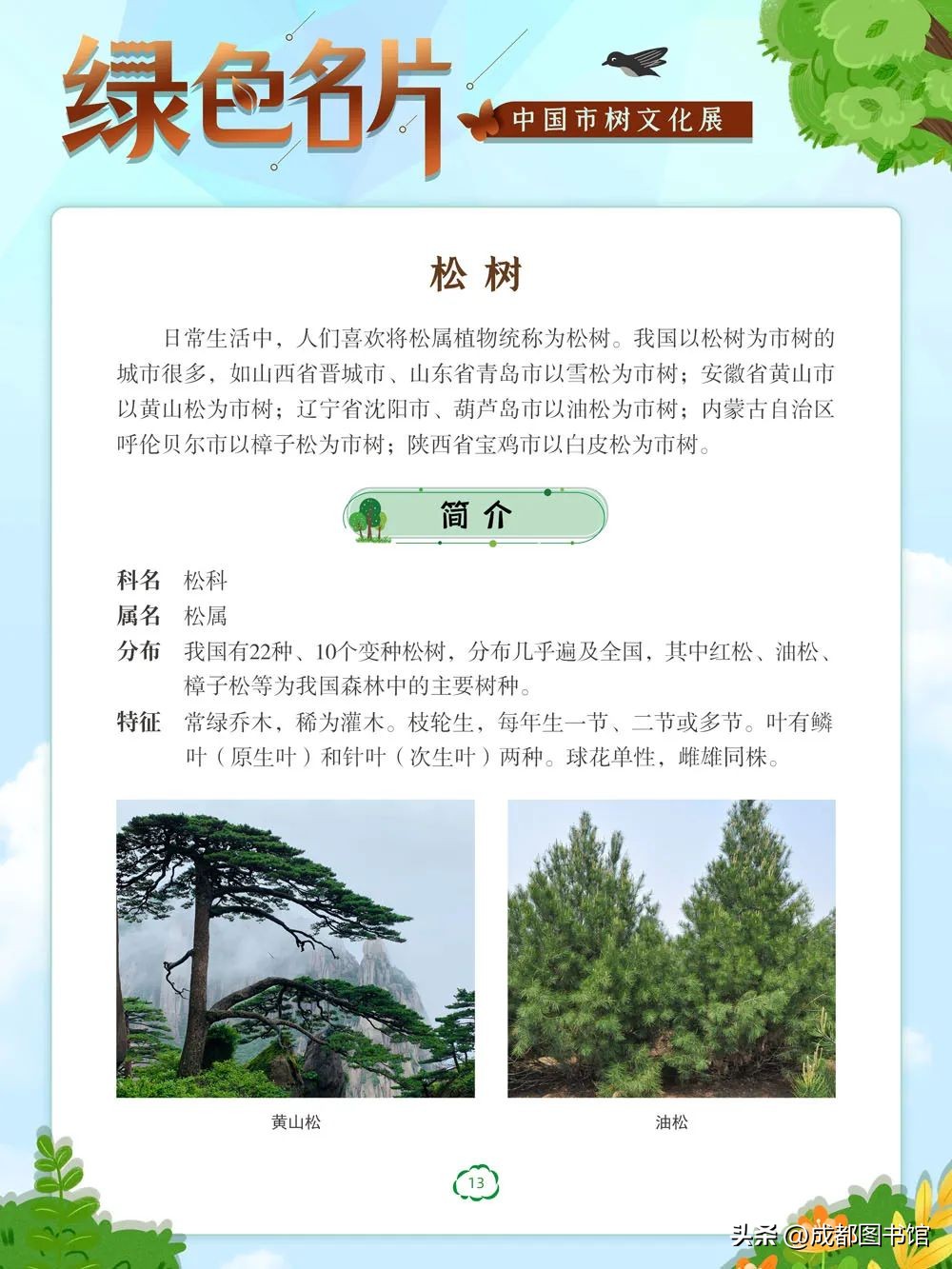 数字文化资源宣传,数字文化资源