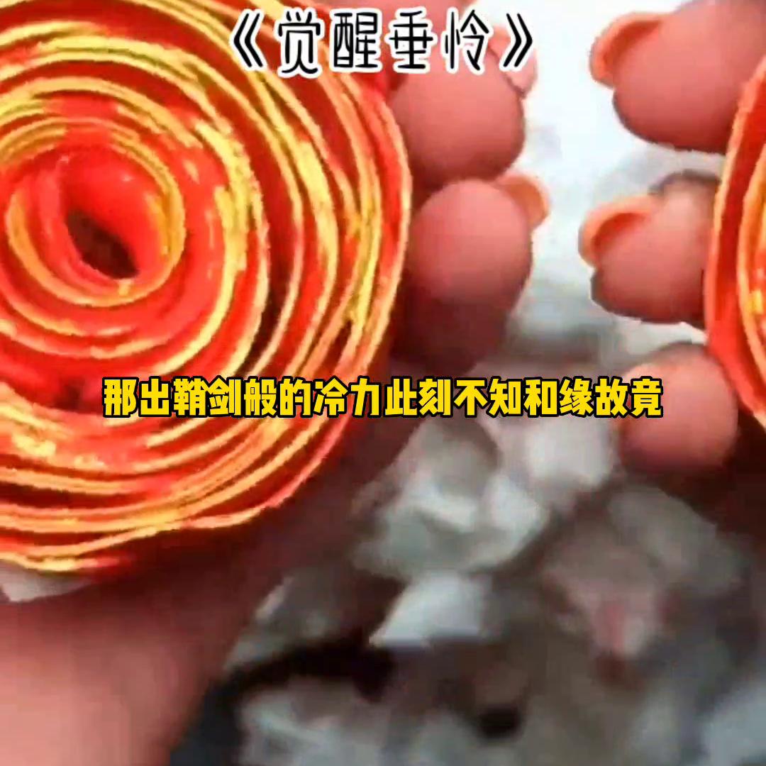 小说排行榜,小说排行榜前十名