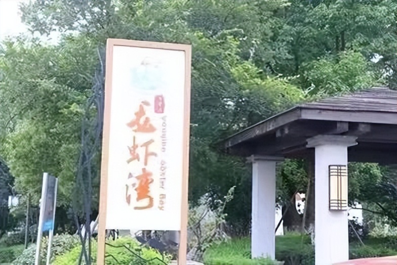 在大桥镇践行“八八战略”的五年回眸