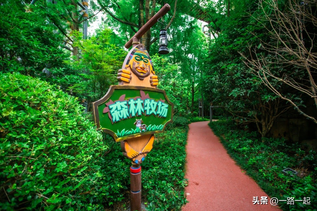 上海又刺激又好玩的网红打卡点,上海网红打卡地必去的五个地方