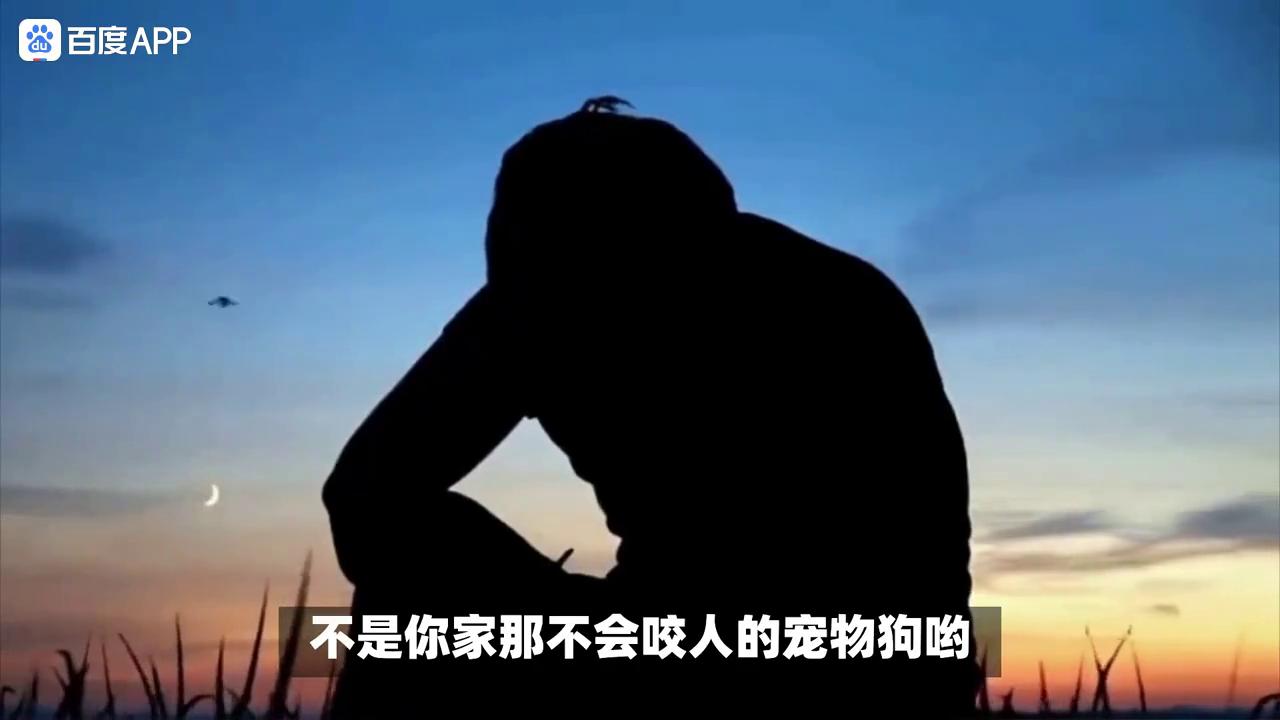 网络贷款的钱下款到哪个地方,关于网络贷款的风险提示分析