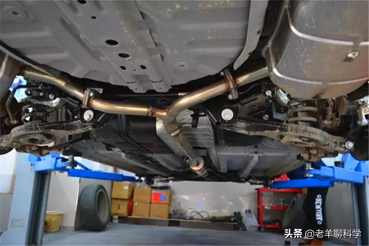 男子夜钓打5条蛇,男子半夜开车蛇在车窗