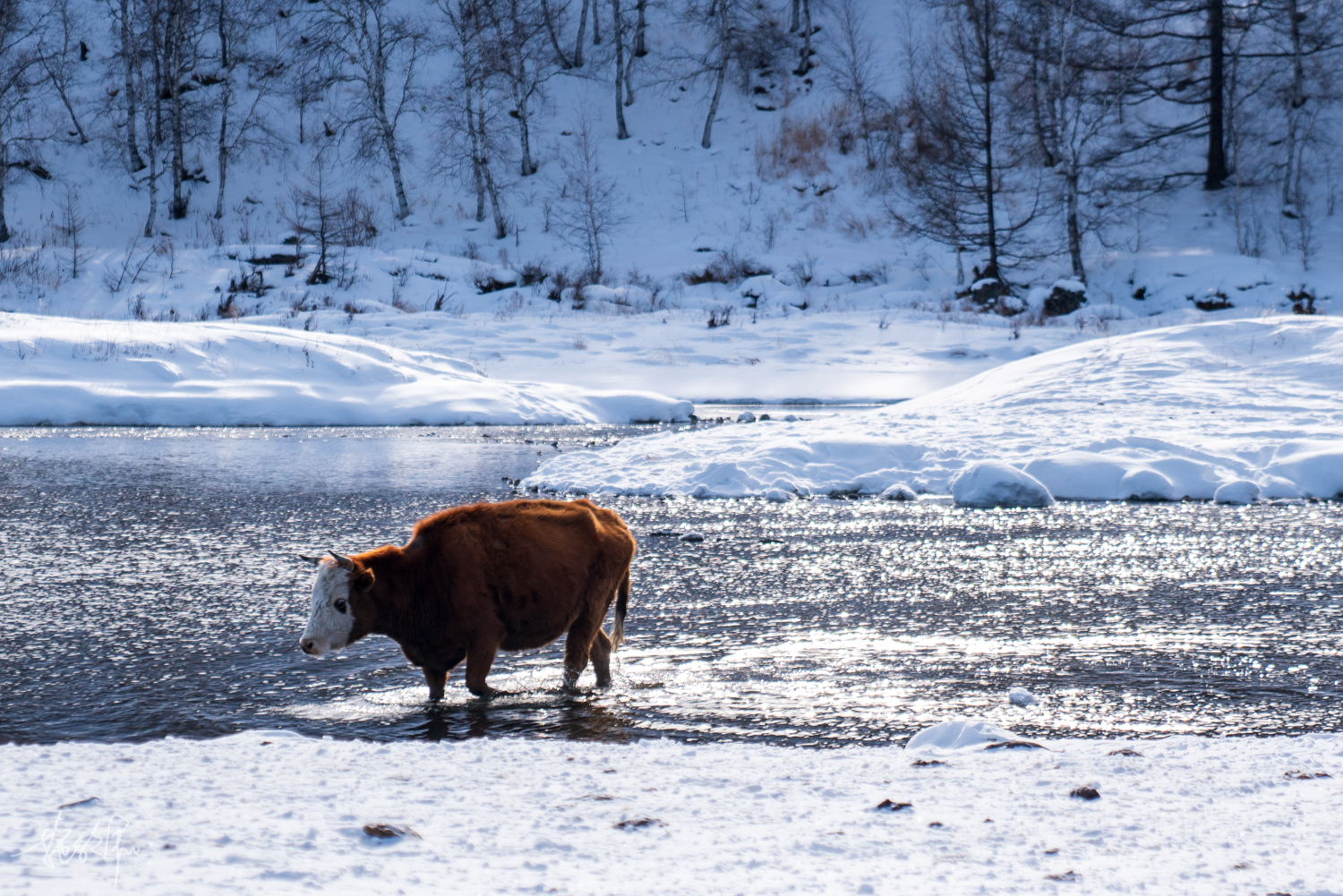 我的2022年度报告,我的2022原版