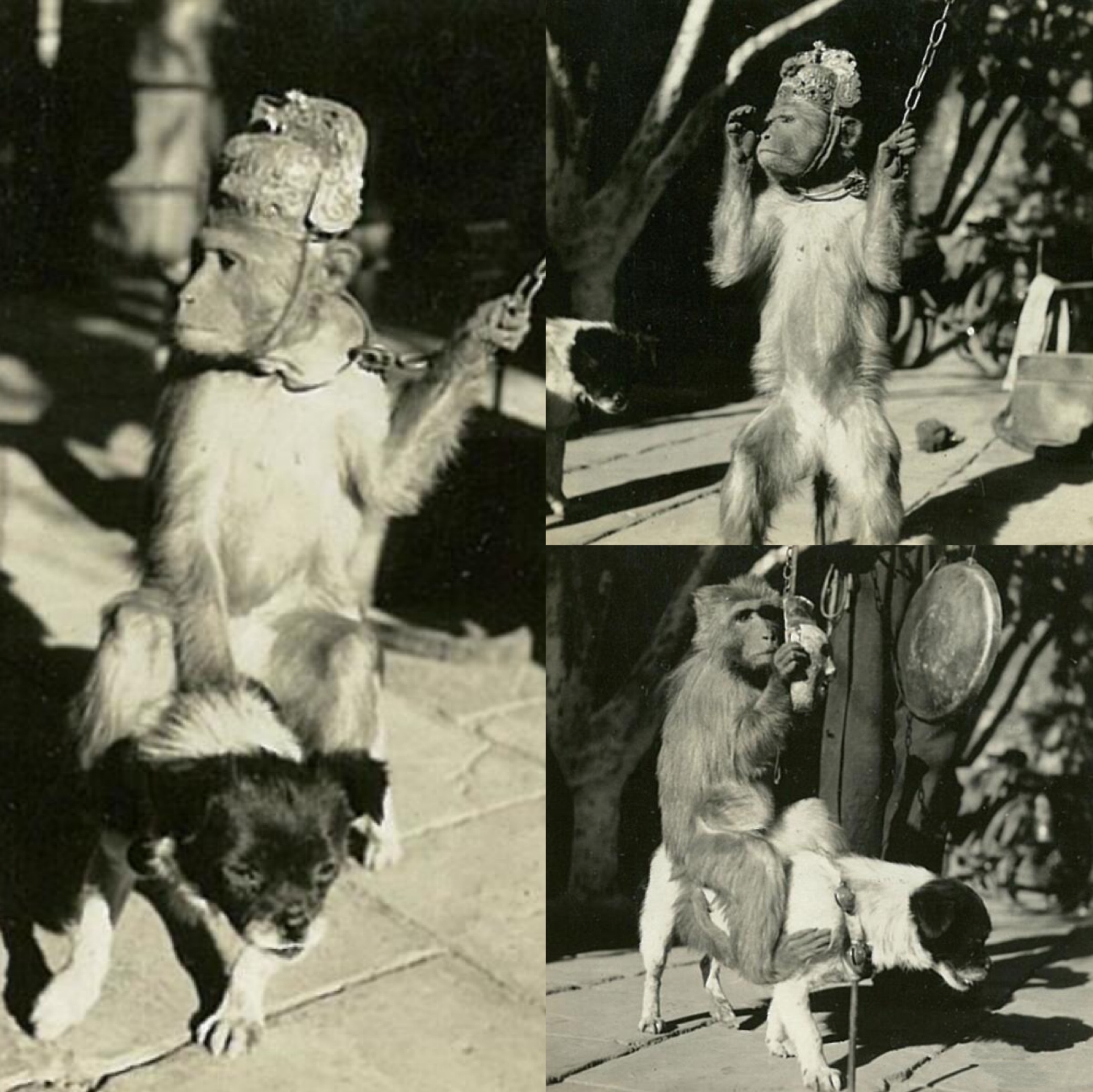 60年代的中国照片,607080年代经典照片图文