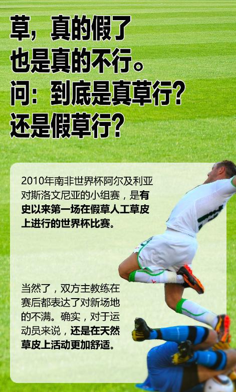 世界杯的草坪什么草,世界杯草地的草每一场比赛都换吗