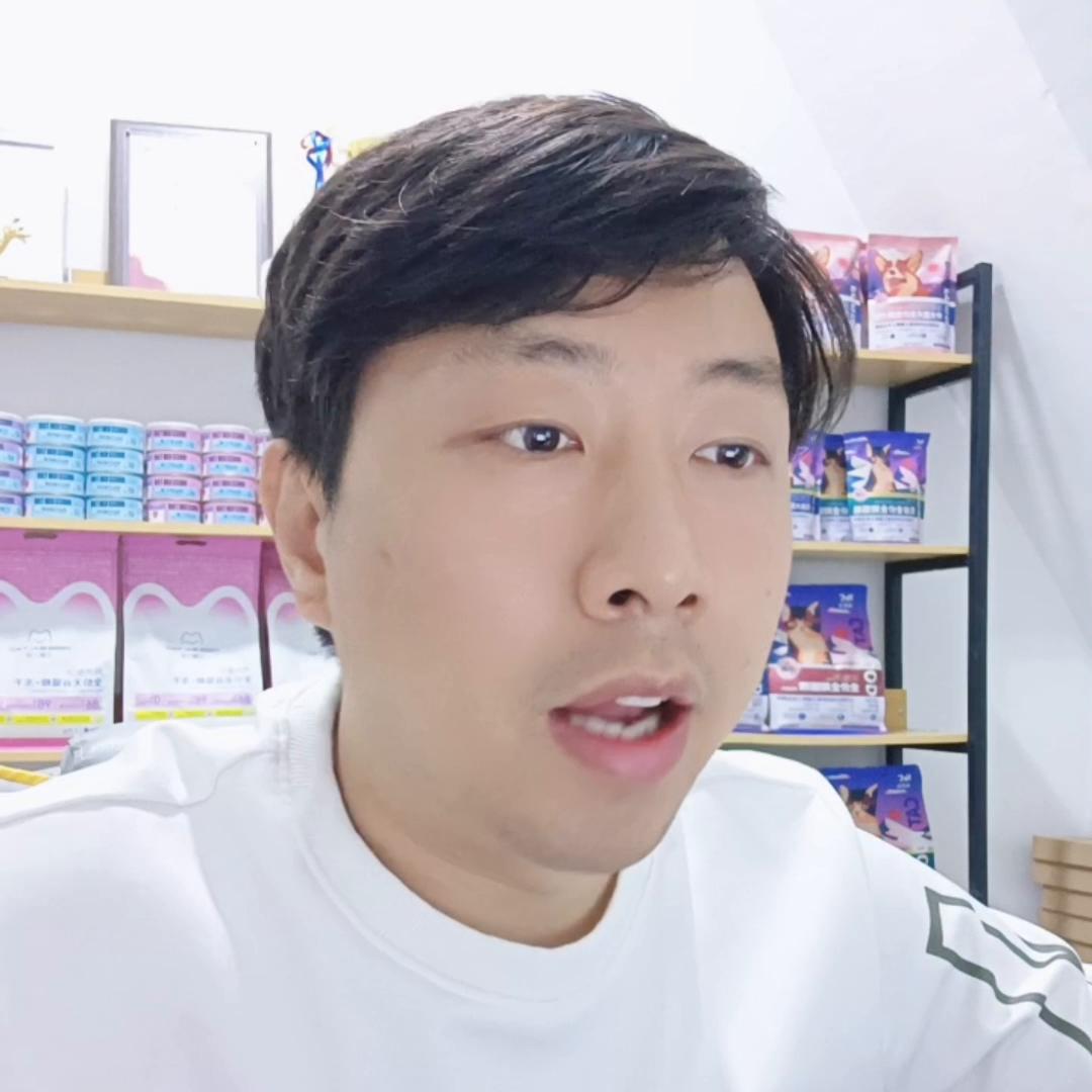 宠物店训犬加宠物美容模式,去宠物店学习