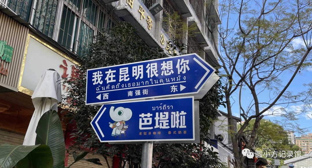 旅行中你会买些啥礼物？看看我的战利品吧