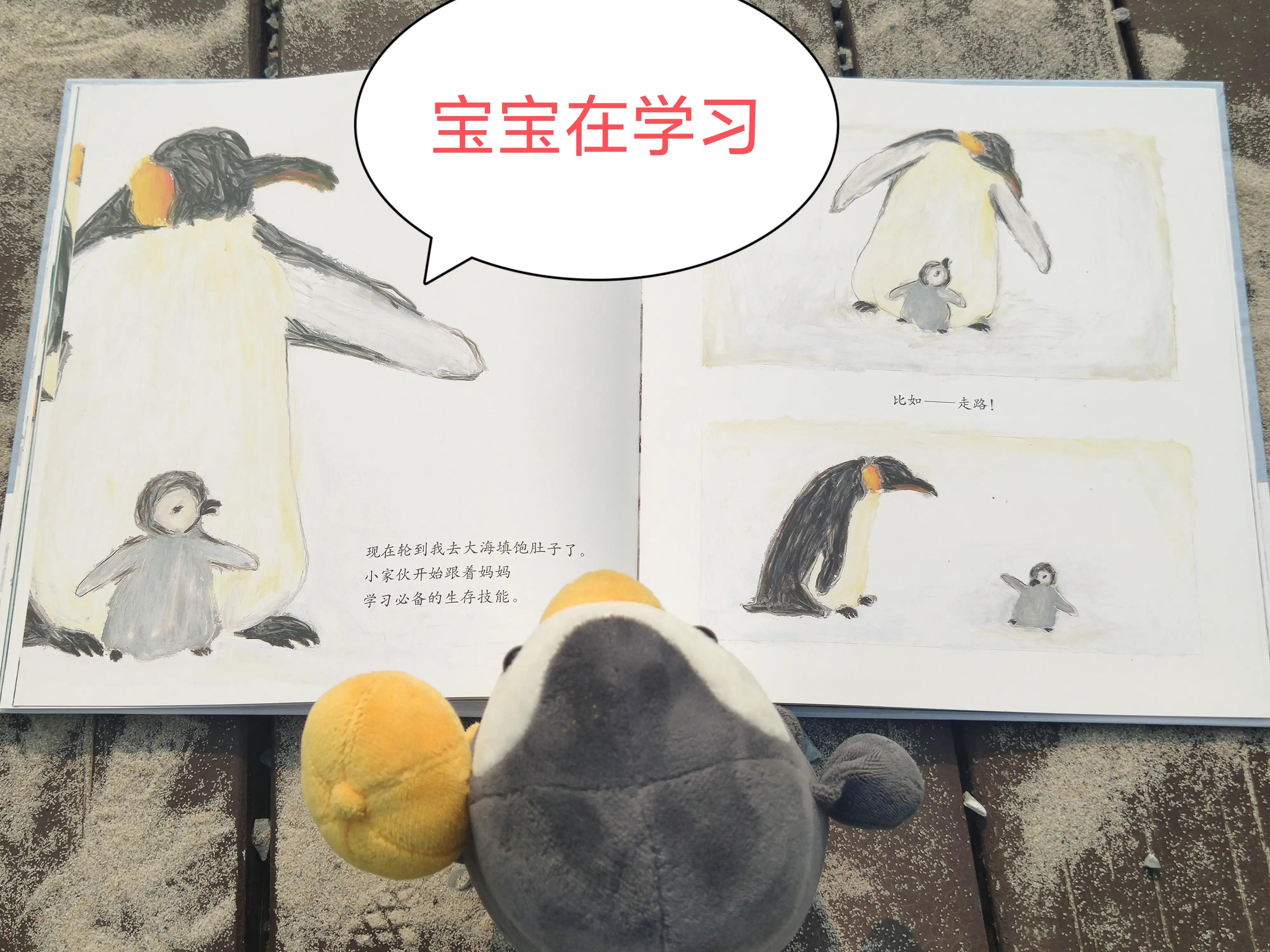 帝企鹅歌曲原唱,帝企鹅谈恋爱