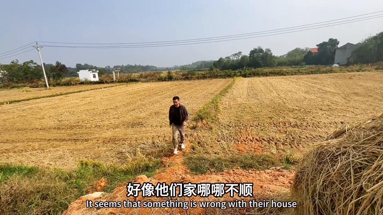 如果媳妇对你不好怎么办,媳妇对你冷淡该怎么做