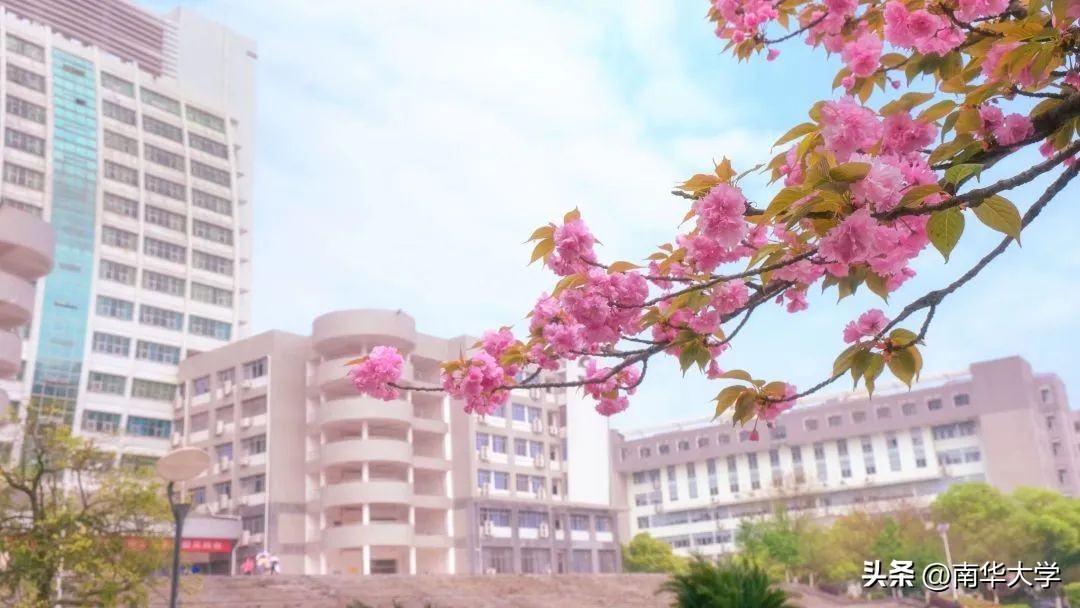 南华大学校花全集,校花南华大学