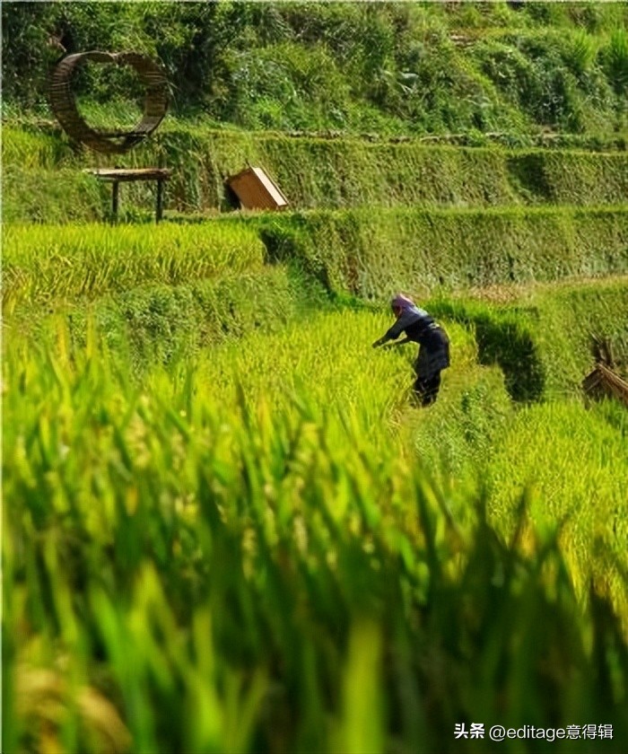 意得辑投稿指导怎么样,意得辑论文润色后台操作步骤