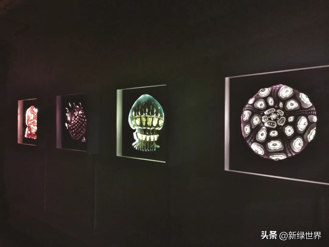 一组纸艺作品,令人惊艳的纸艺作品