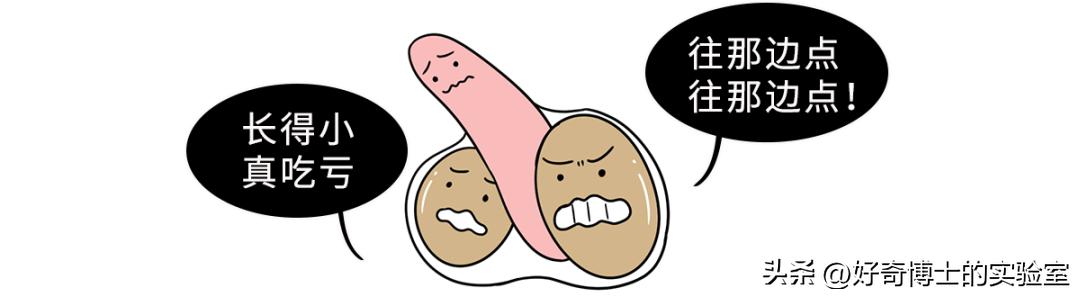 男女生性别特征的表现,男女生的状况