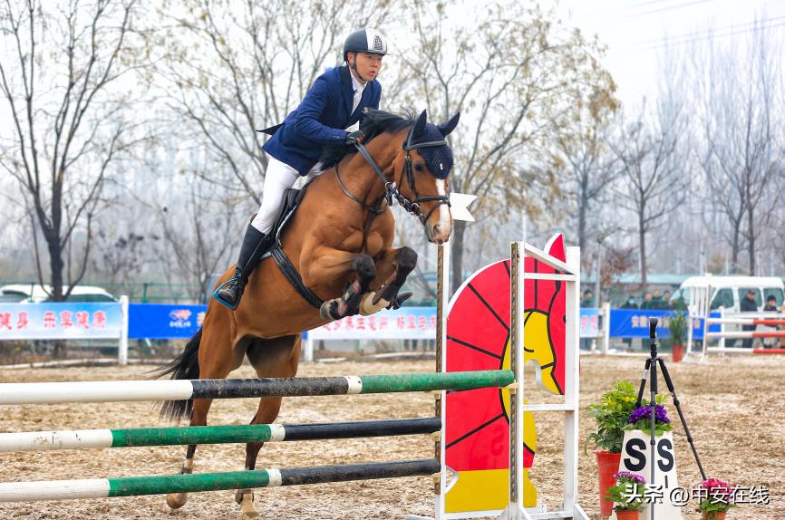 2022年安徽省青少年马术锦标赛暨第一届全国学生（青年）运动会马术运动资格选拔赛开幕