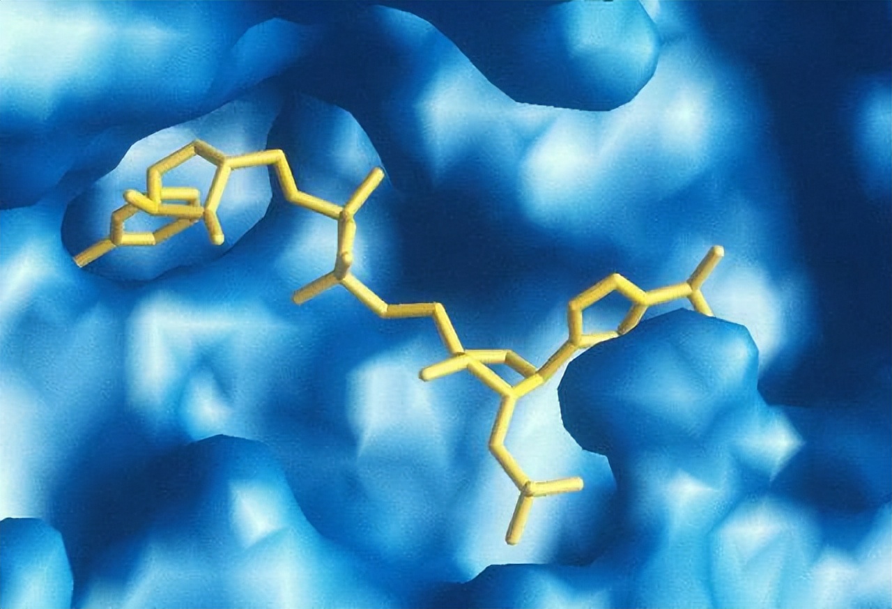 茉莉酸分子机制,茉莉酸受体抑制剂及其作用机理