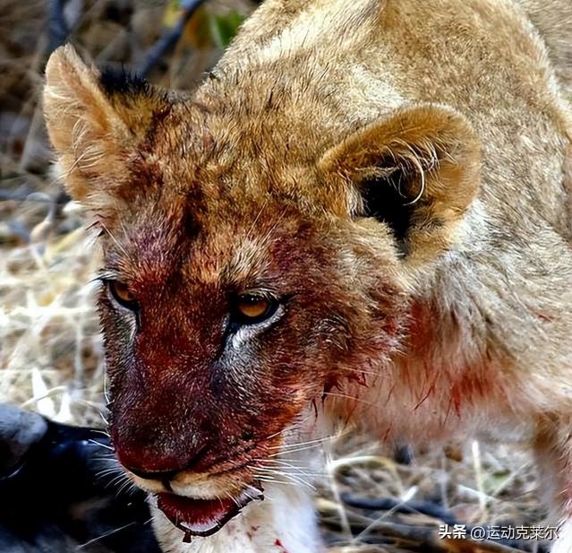 侵华日军残酷*行暴**，女子为活命脱下衣服让日本人拍摄，*辱侮**至死2