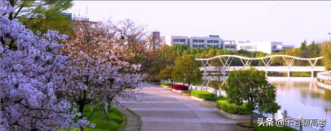 湖北经济学院学生就业情况,湖北经济学院本科毕业去向